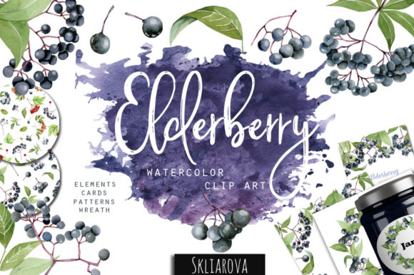 Elderberry Clipart: A Strategic Resource for Creative and Professional Projects