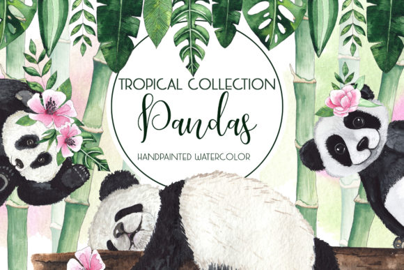 Pandas. Tropical Collection